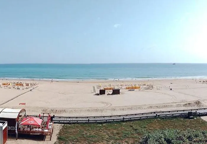 Rocha Justar Portimão